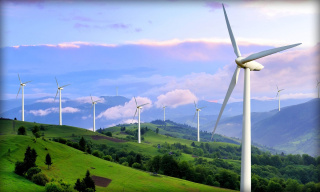 Экологичные ветровые станции не так уж и экологичны